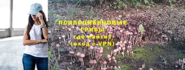 ГАЛЛЮЦИНОГЕННЫЕ ГРИБЫ Мегион