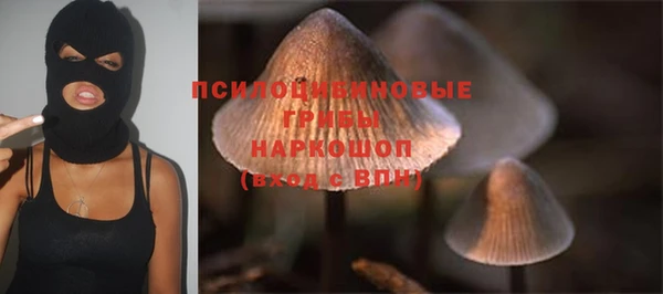 ПСИЛОЦИБИНОВЫЕ ГРИБЫ Абдулино